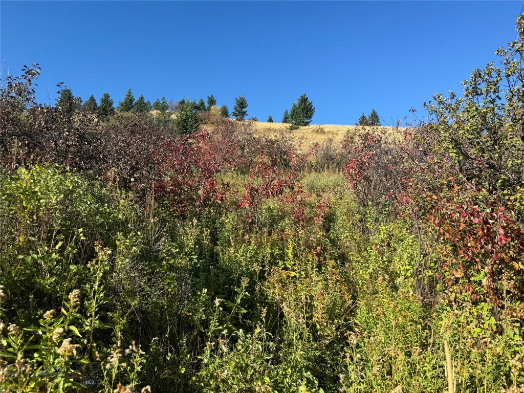 Tbd Rendezvous Trail Property Photo 38