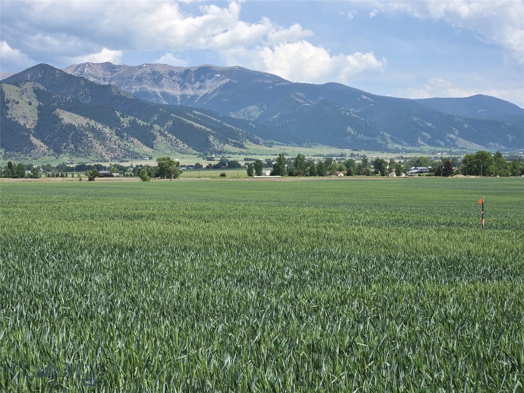 Lot 3 Penwell Bridge Road Property Photo