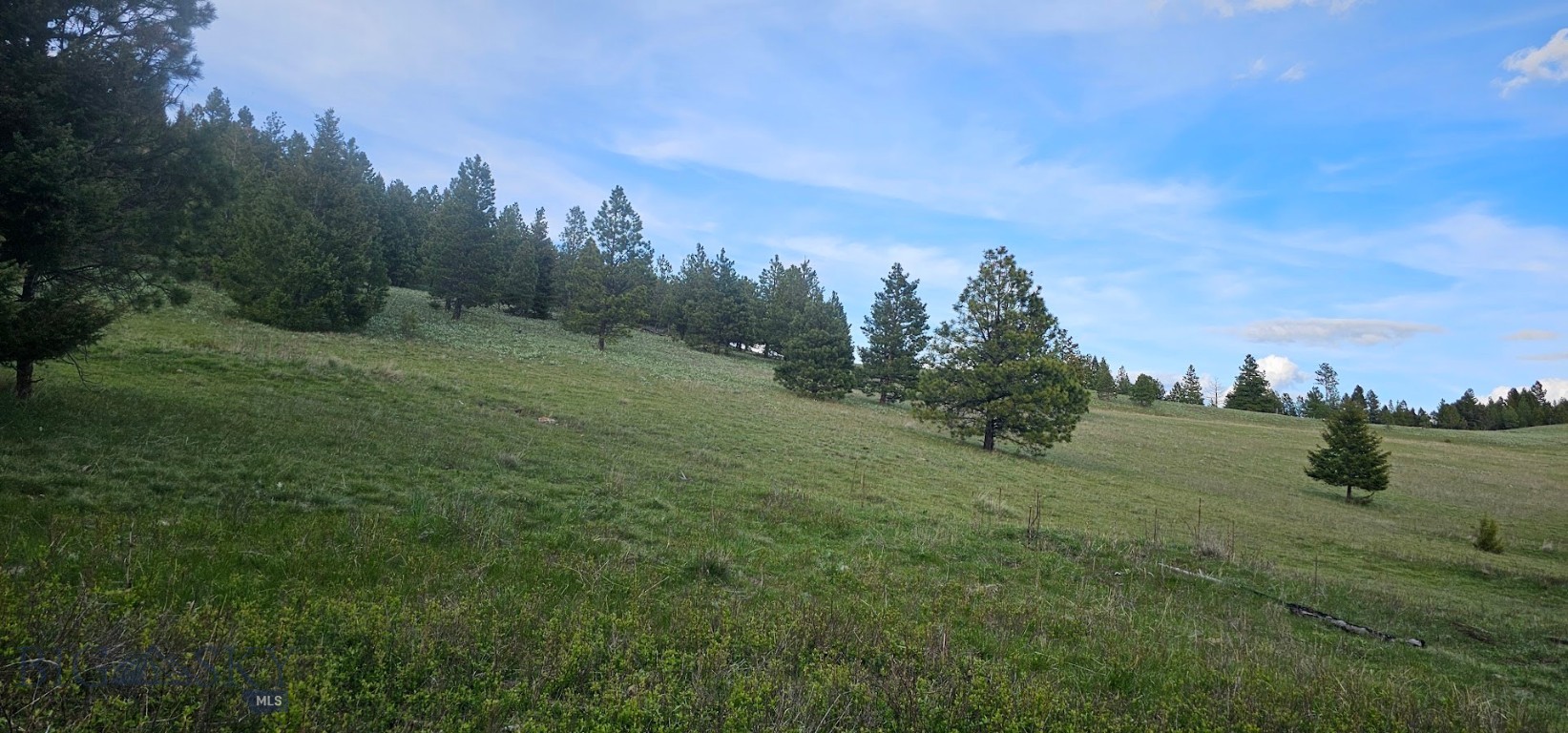6 Tract, Bull Elk Property Photo