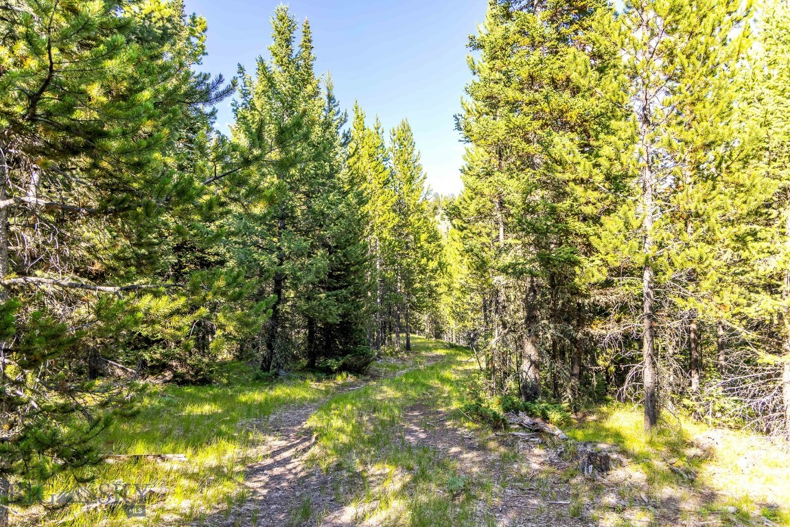 Lot 1 Wheatgrass Meadows Property Photo 13