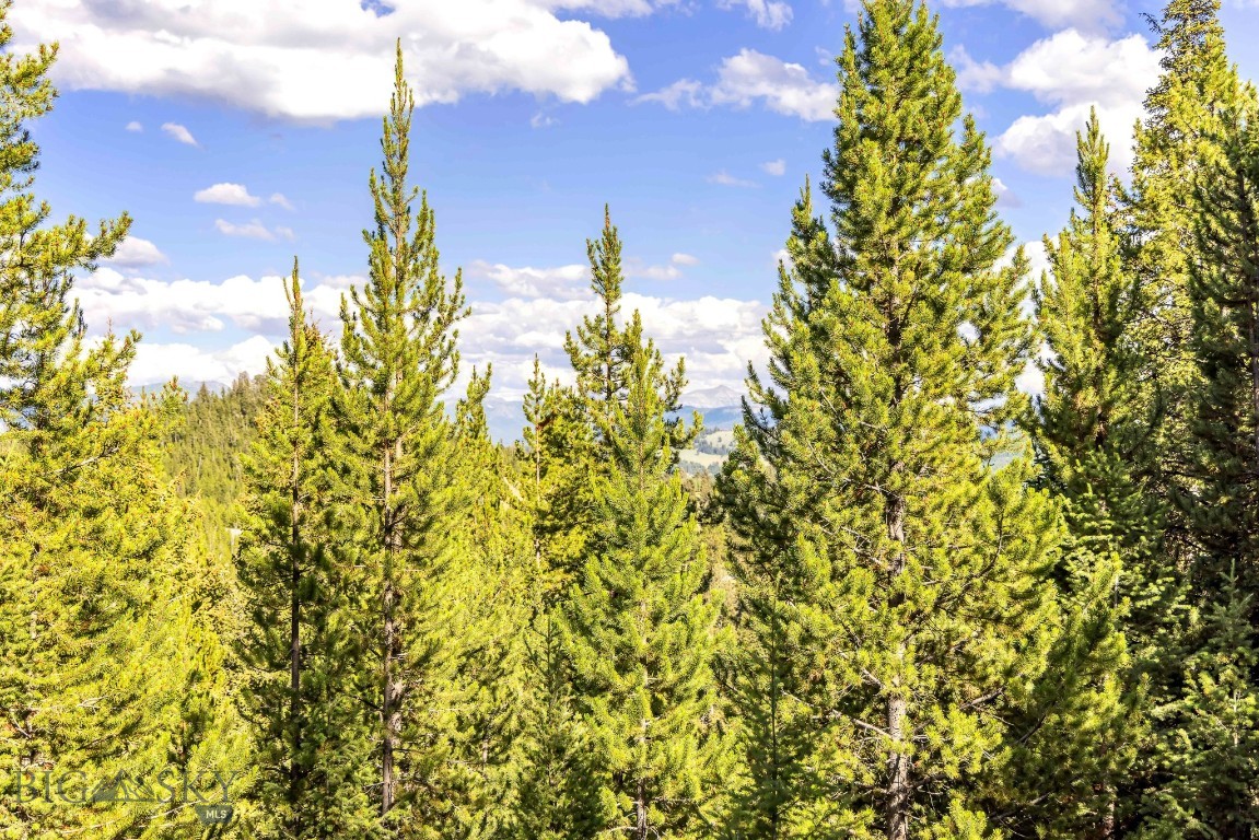 Lot 1 Wheatgrass Meadows Property Photo 15