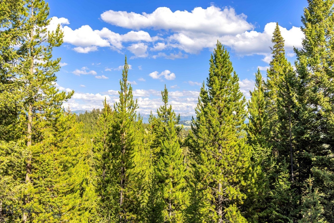 Lot 1 Wheatgrass Meadows Property Photo 20