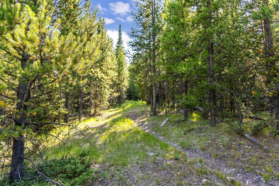 Lot 1 Wheatgrass Meadows Property Photo 21