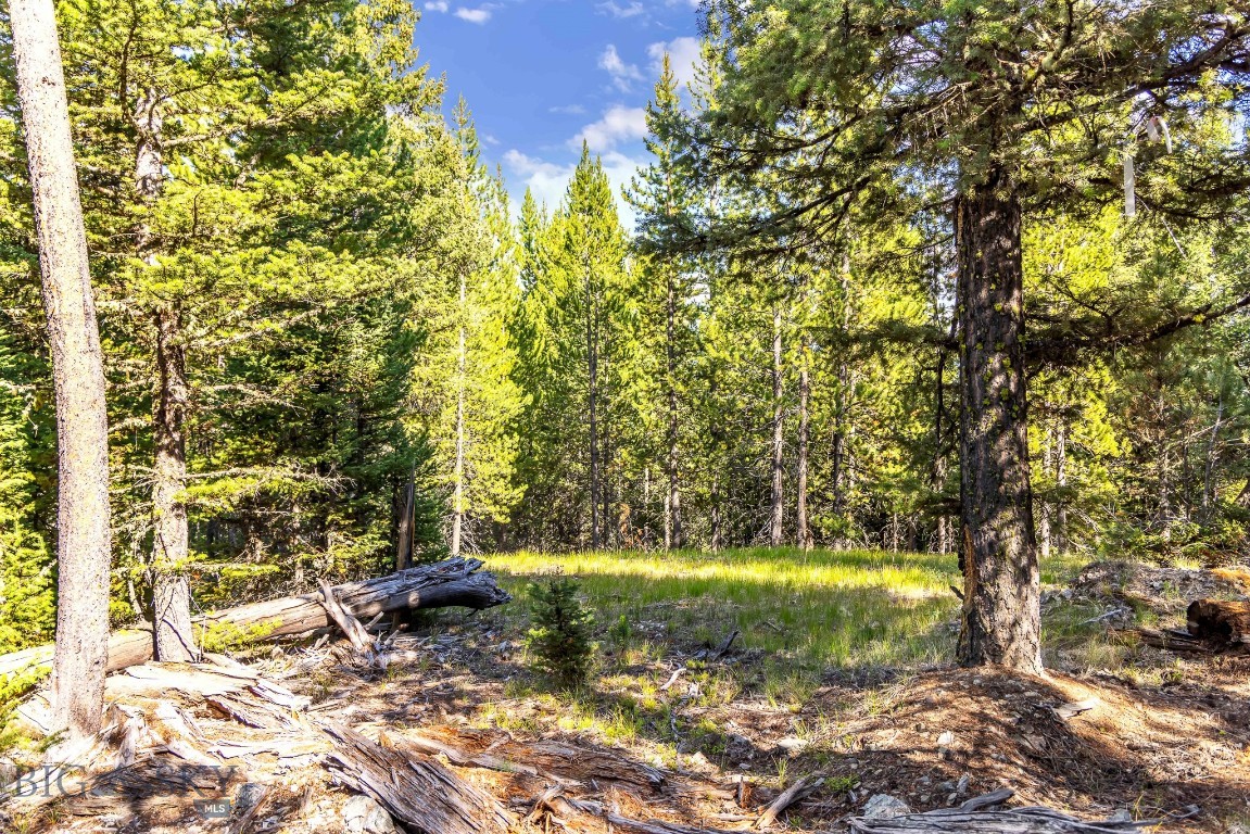 Lot 1 Wheatgrass Meadows Property Photo 24