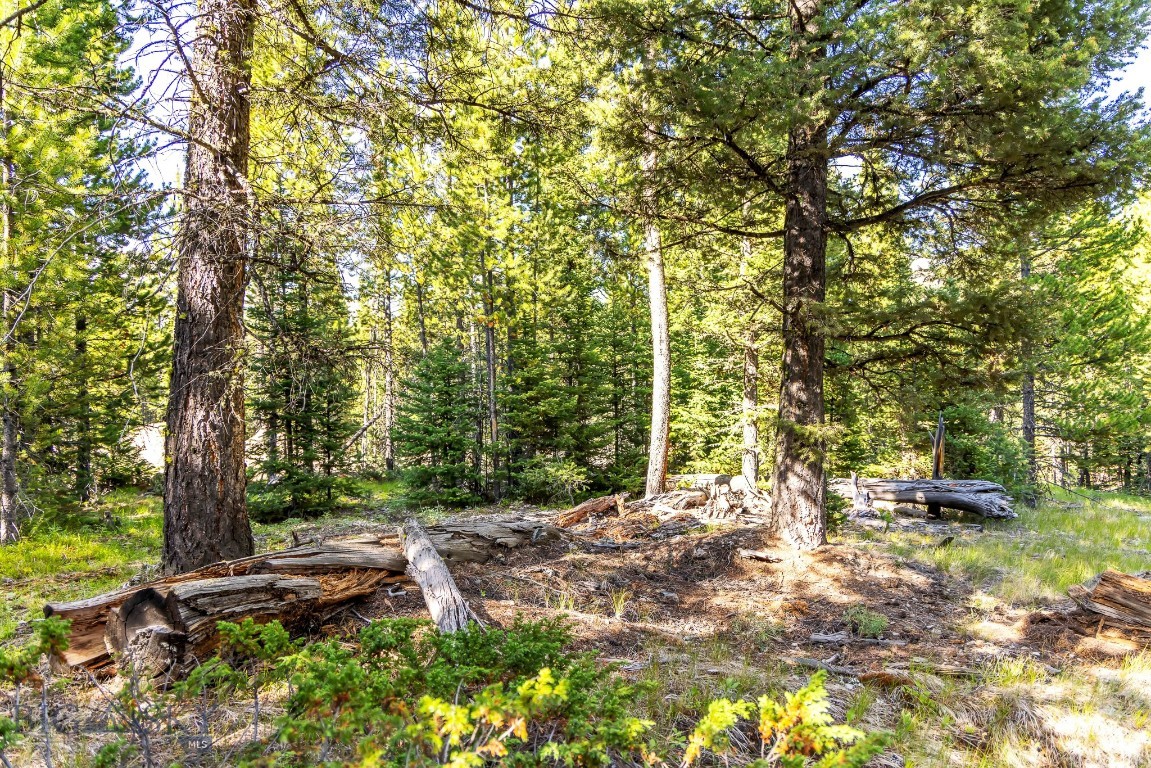 Lot 1 Wheatgrass Meadows Property Photo 25