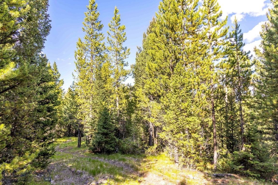 Lot 1 Wheatgrass Meadows Property Photo 28