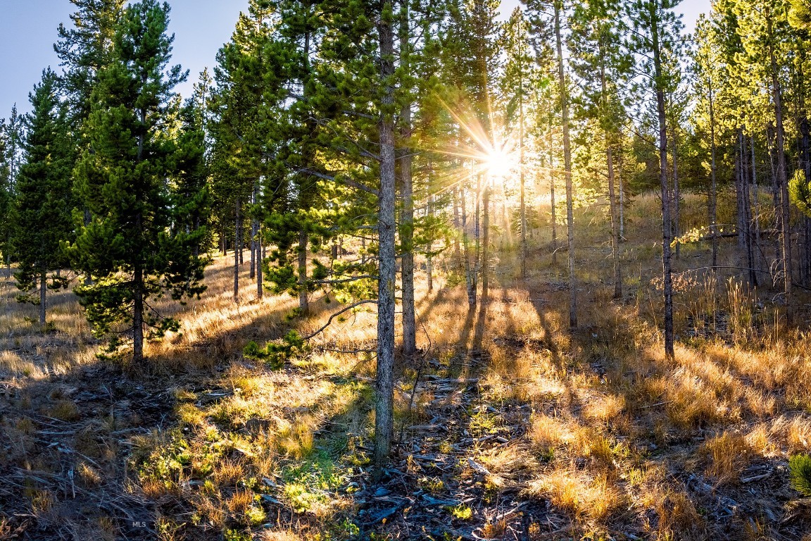 Lot 1 Wheatgrass Meadows Property Photo 44