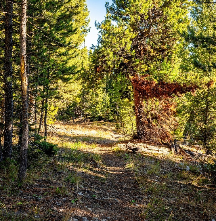 Lot 1 Wheatgrass Meadows Property Photo 49