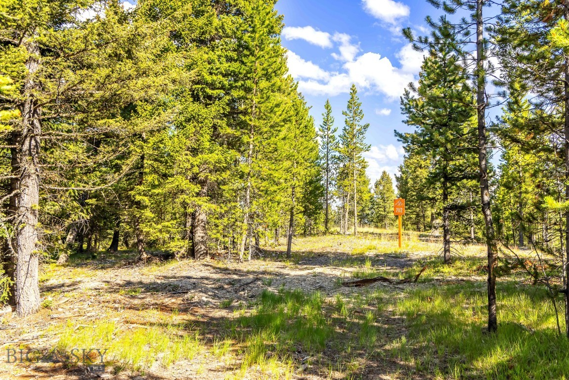 Lot 2 Wheatgrass Meadows Property Photo 13