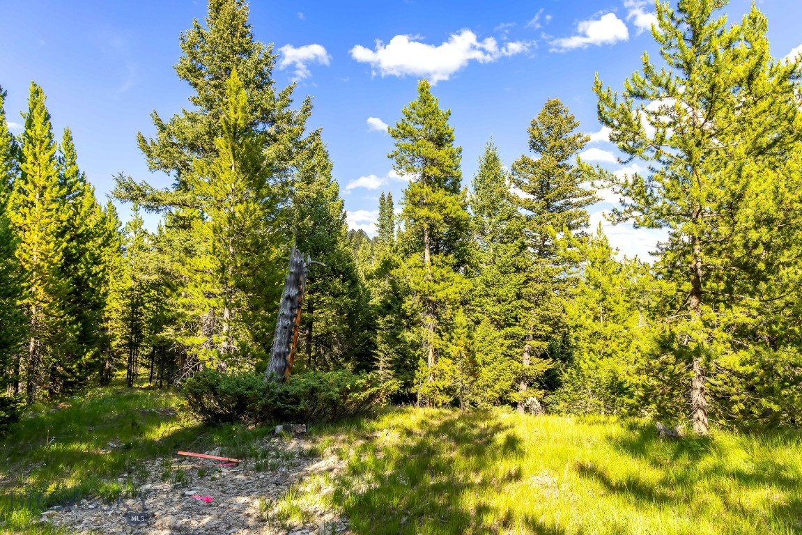 Lot 2 Wheatgrass Meadows Property Photo 14