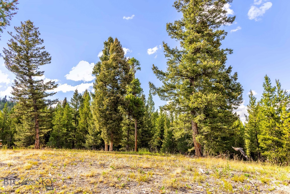Lot 2 Wheatgrass Meadows Property Photo 17