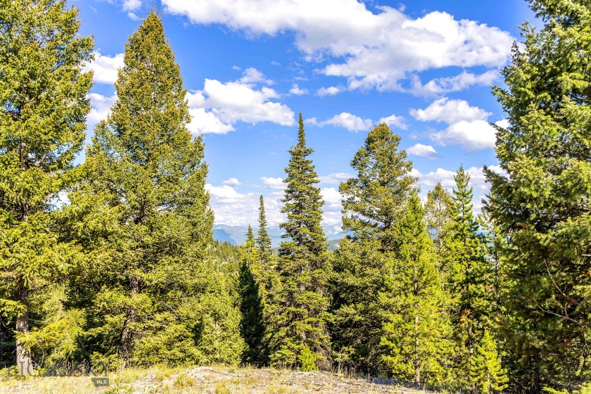 Lot 2 Wheatgrass Meadows Property Photo 19