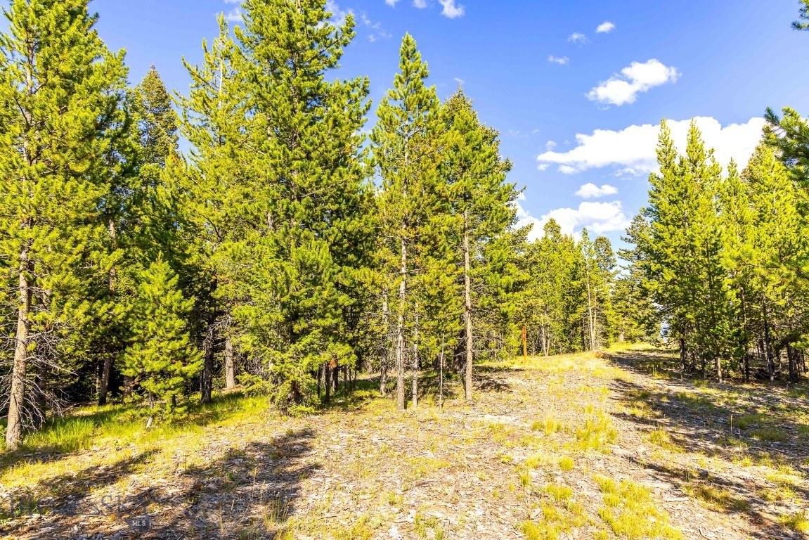 Lot 2 Wheatgrass Meadows Property Photo 20
