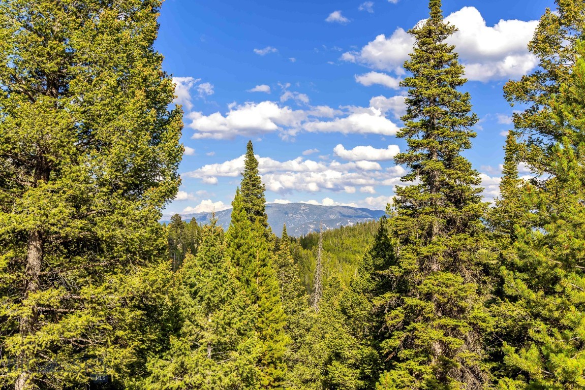 Lot 2 Wheatgrass Meadows Property Photo 21