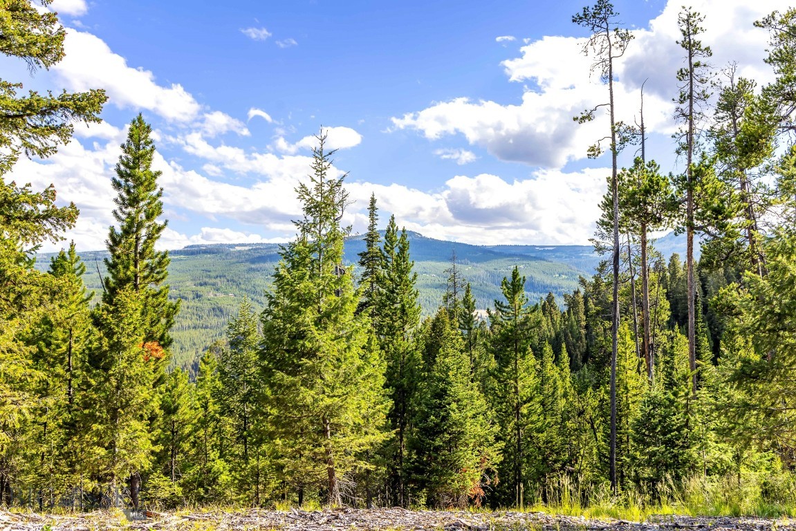 Lot 2 Wheatgrass Meadows Property Photo 22
