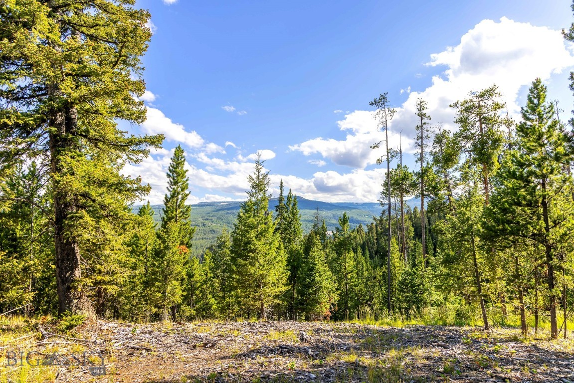 Lot 2 Wheatgrass Meadows Property Photo 23
