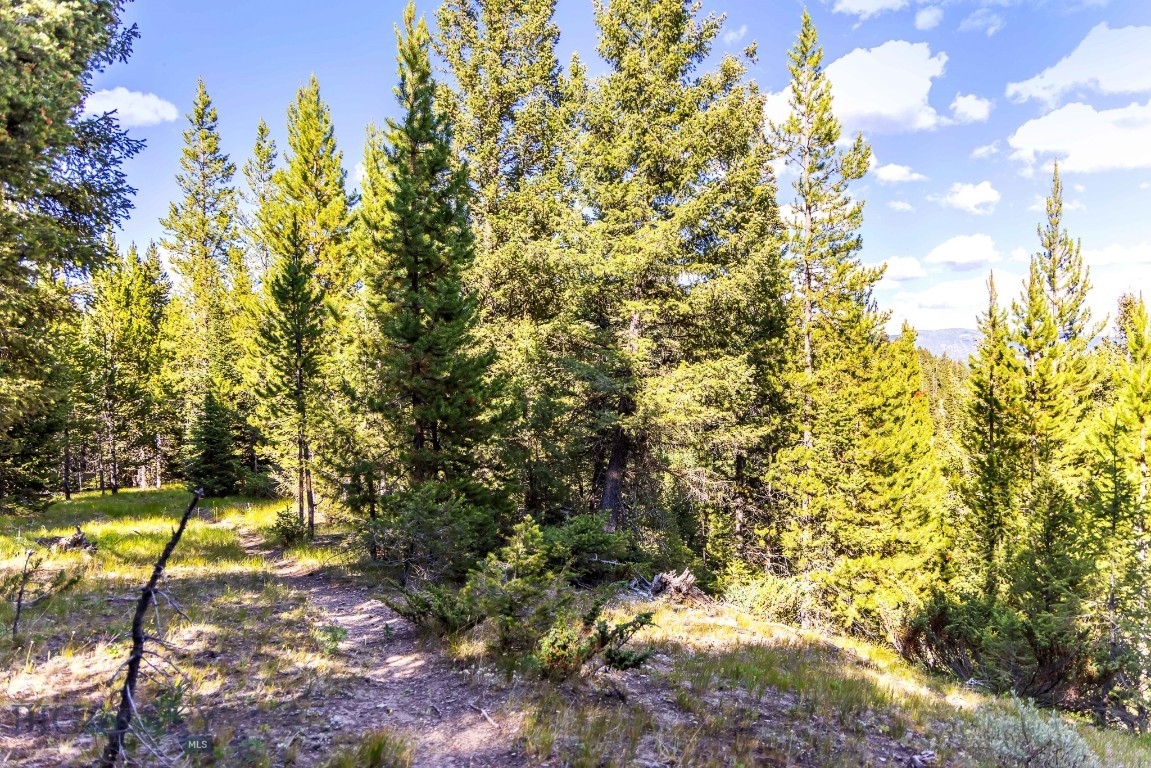 Lot 2 Wheatgrass Meadows Property Photo 26