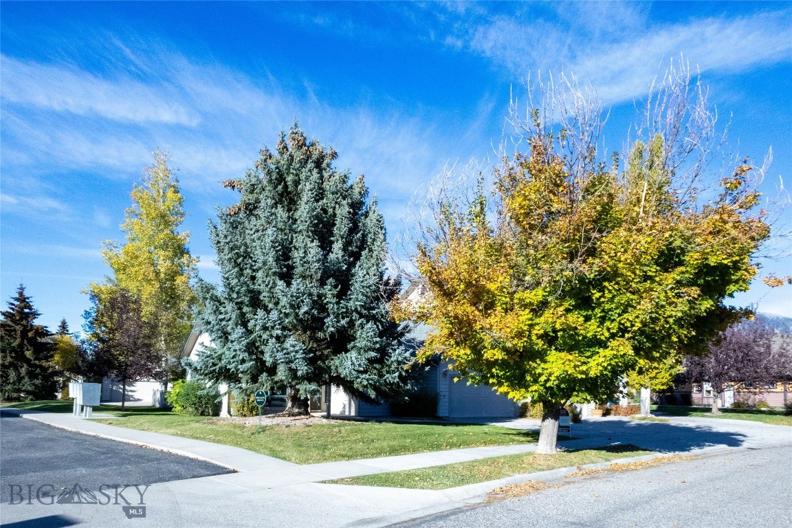 1031 Boylan Property Photo 25