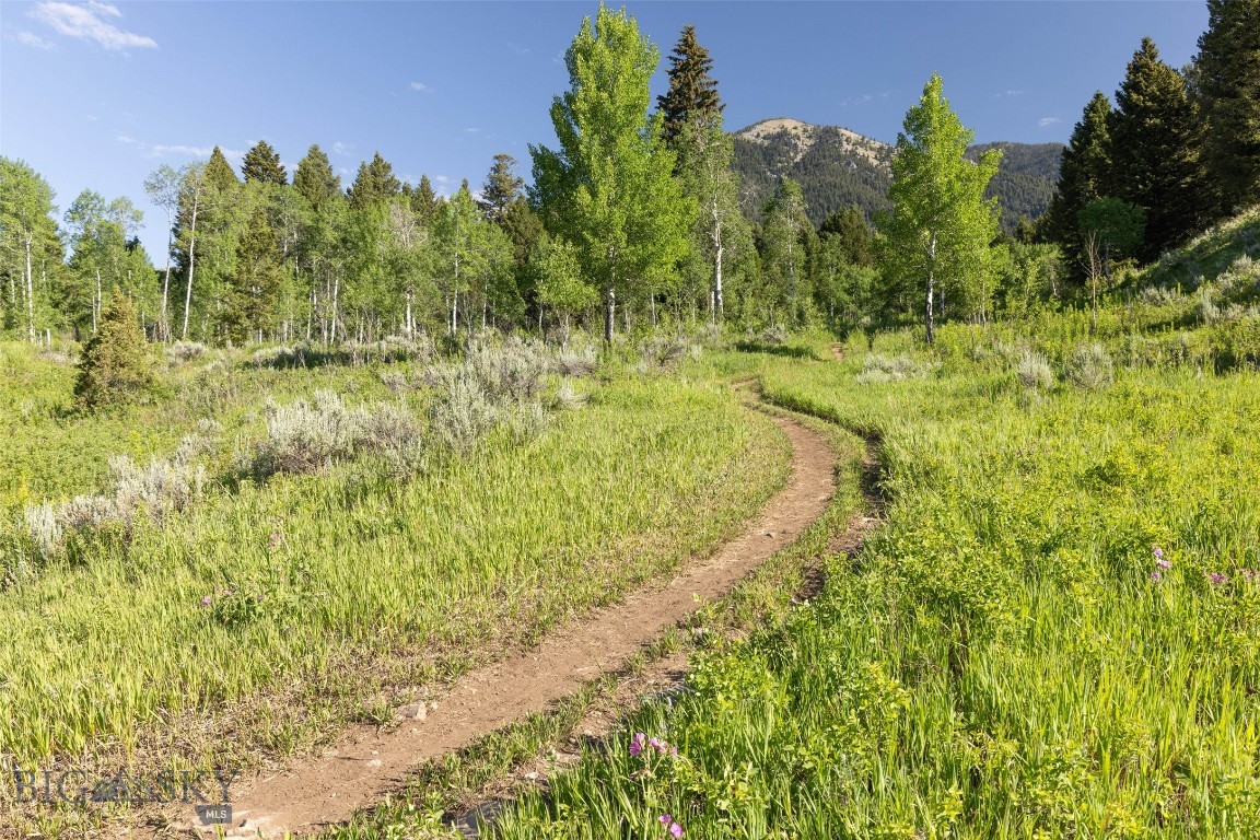 526 Chief Joseph Trail Property Photo 17
