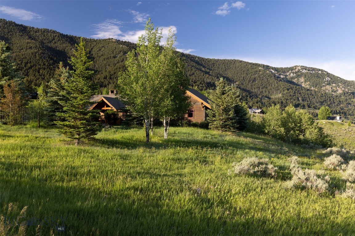 526 Chief Joseph Trail Property Photo 43
