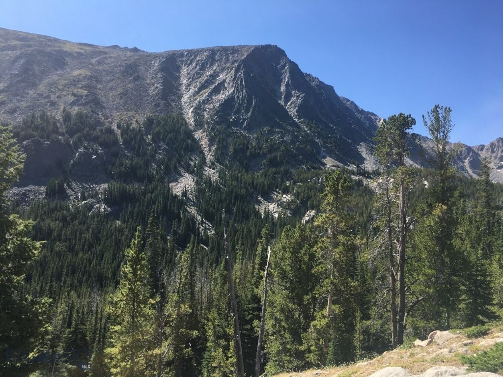 Tbd Trapper Creek Road Property Photo 1