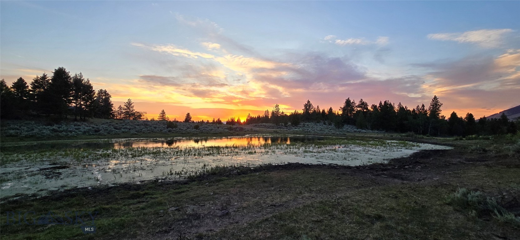 10 Tract, Hall Creek Property Photo