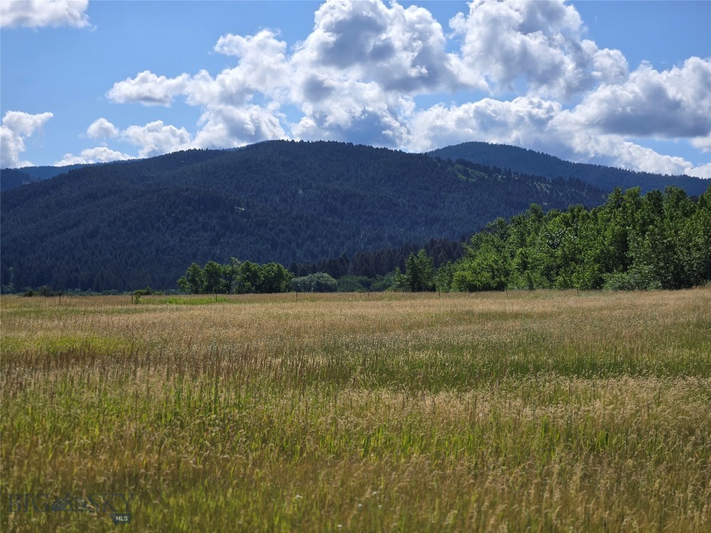 8050 S Leverich Road Property Photo 13