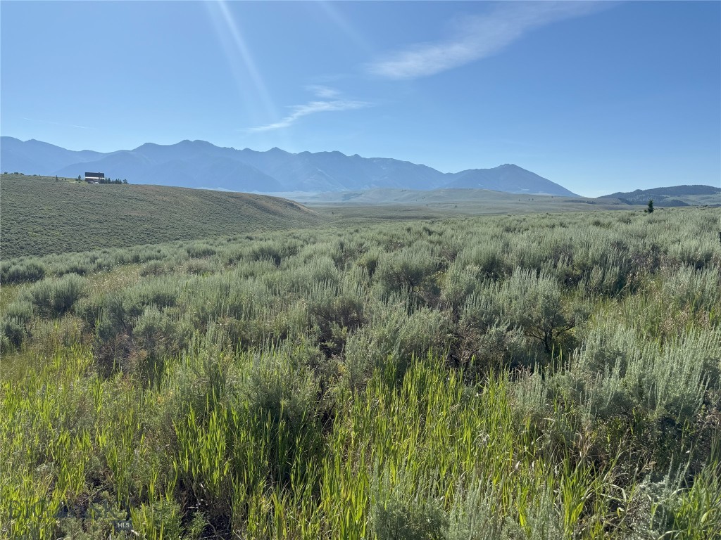 0 Madison River Ranches Lot 21 Property Photo 1