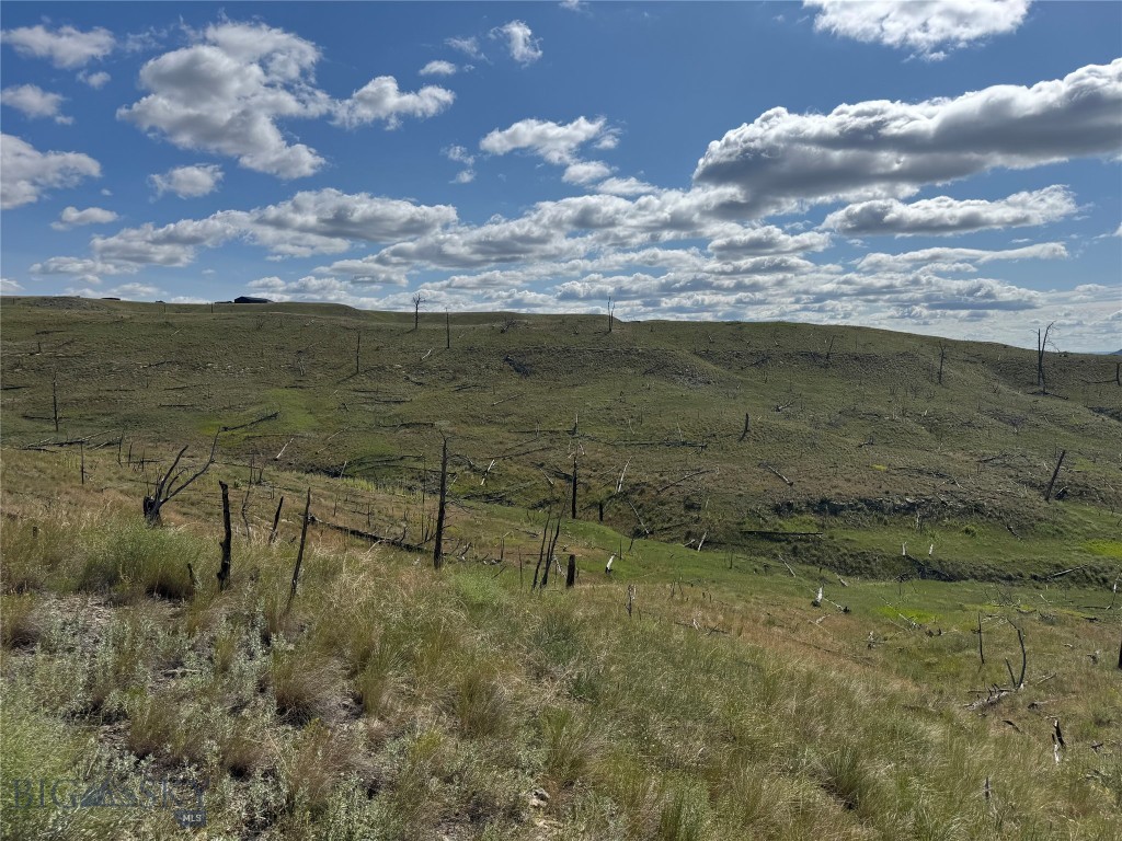 222 Coyote Pass Property Photo 1