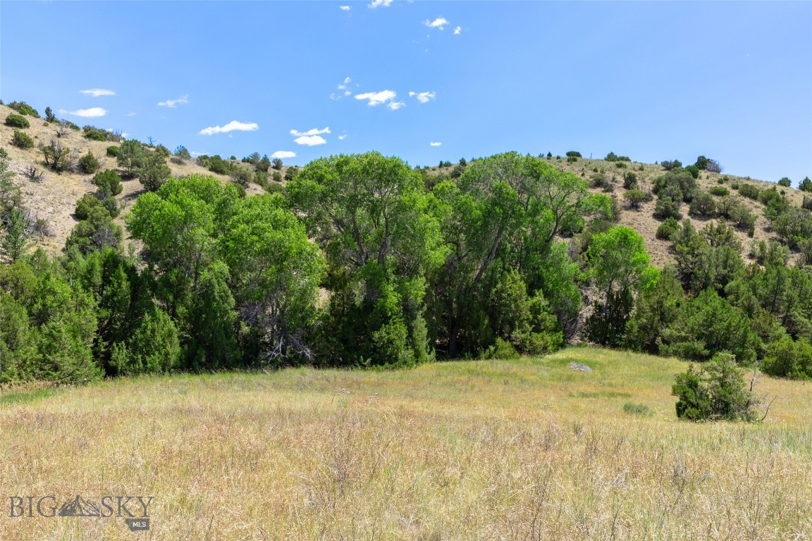 5835 Spaulding Bridge Road Property Photo 85