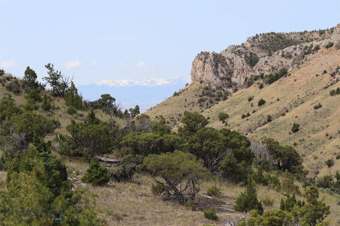 Lot 114 Trappers Road Property Photo 1