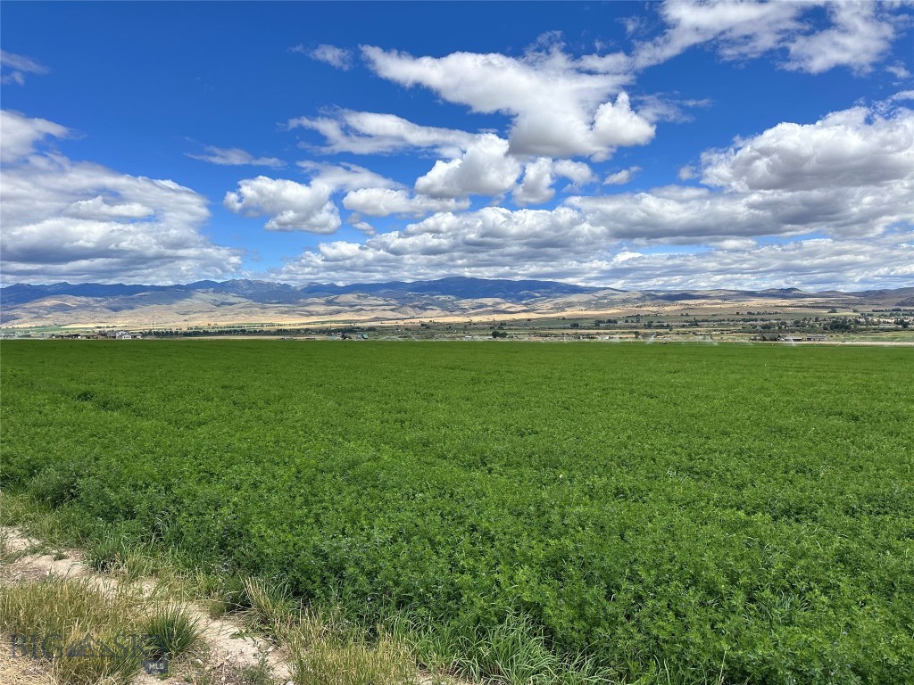 Lot 1a Spring Canyon Rd Property Photo 1
