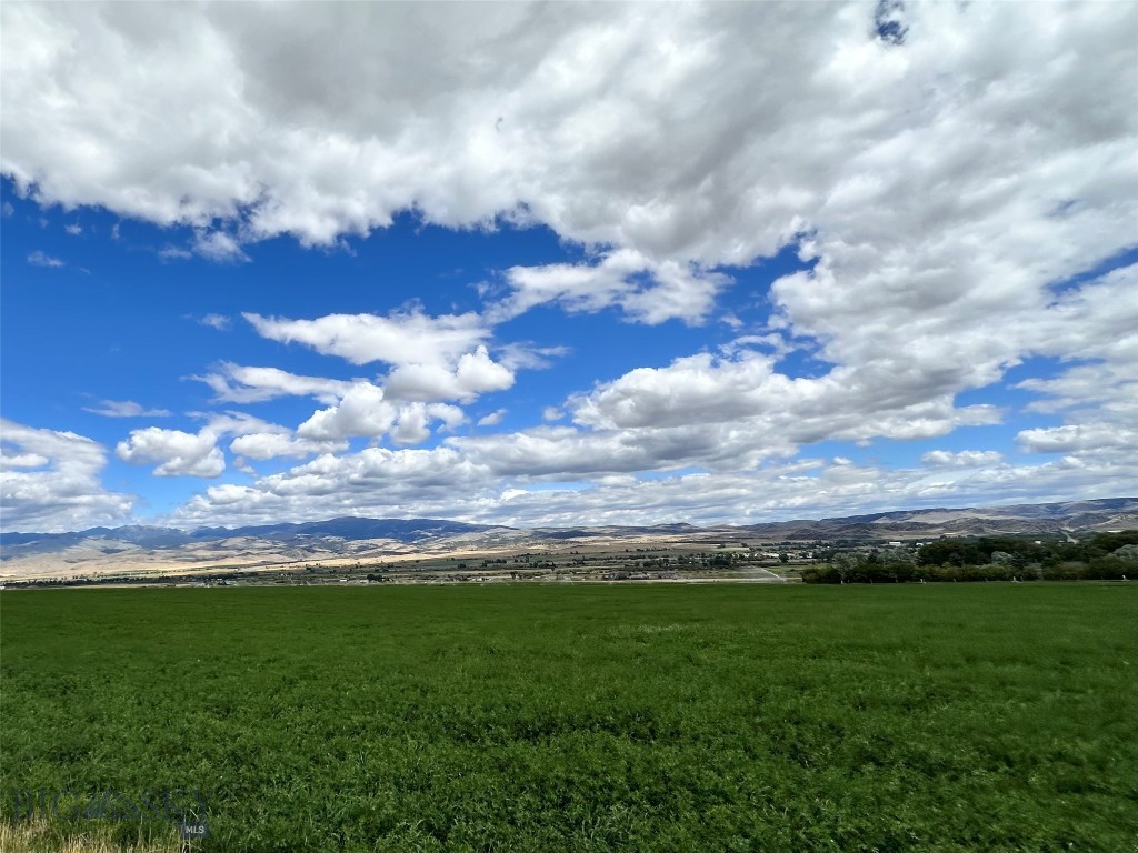 Lot 1a Spring Canyon Rd Property Photo 6