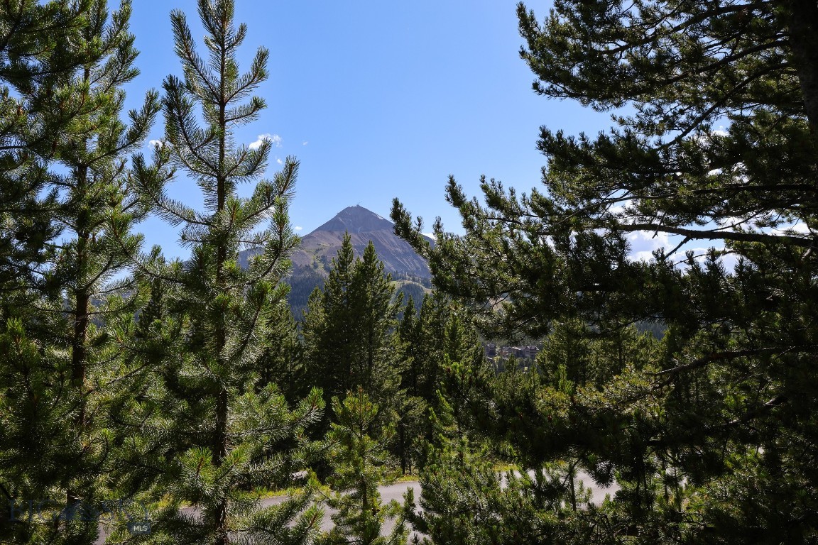 Tbd Beehive Basin Road Property Photo 1