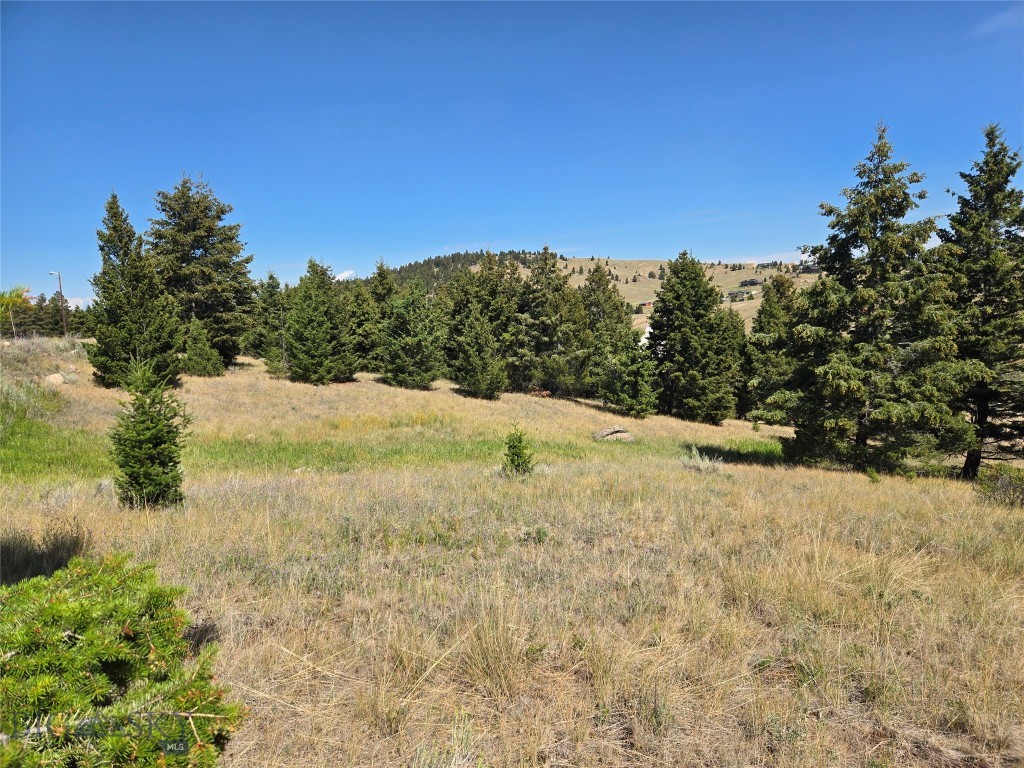 Lot 84 Chalet