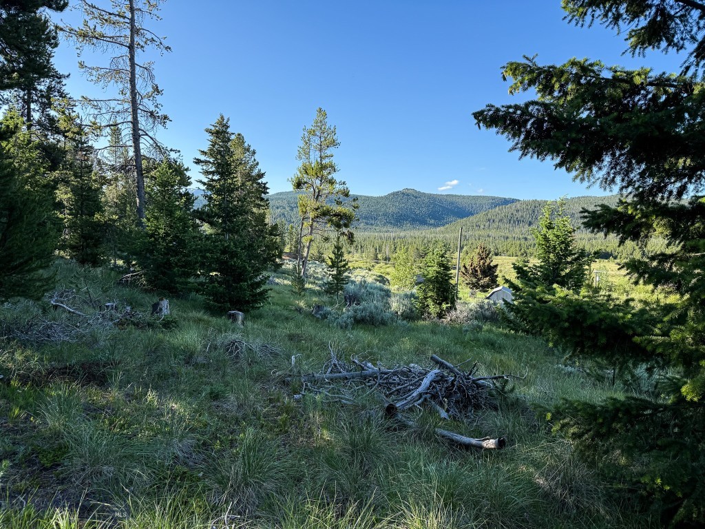 NHN (1.78+/- acres) Sunchild Lane Property Photo 1