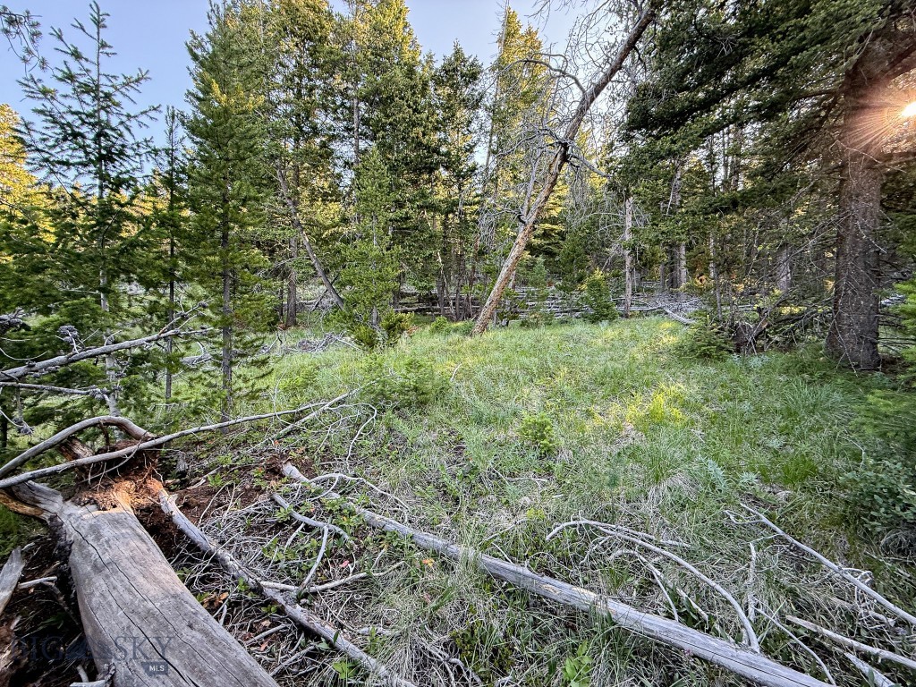 Nhn (1.78+/- Acres) Sunchild Lane Property Photo 7