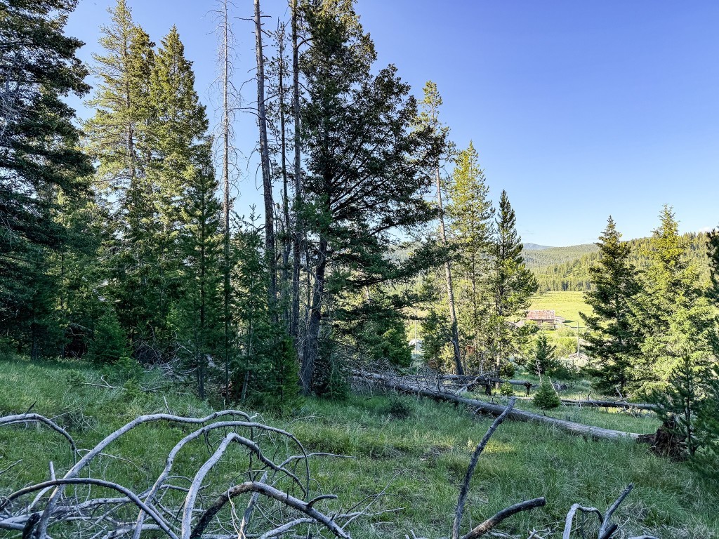 Nhn (1.78+/- Acres) Sunchild Lane Property Photo 9