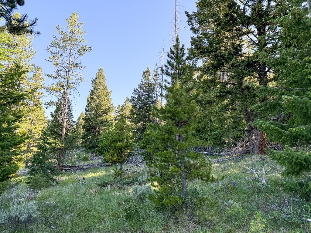 Nhn (1.78+/- Acres) Sunchild Lane Property Photo 20