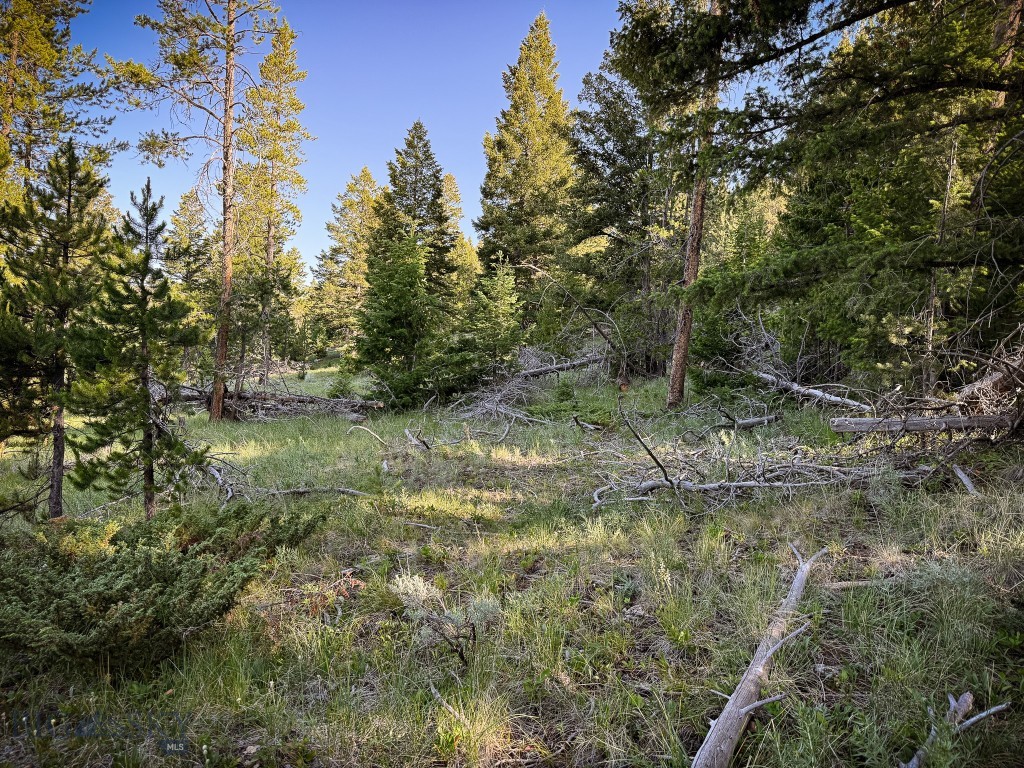 Nhn (1.78+/- Acres) Sunchild Lane Property Photo 23