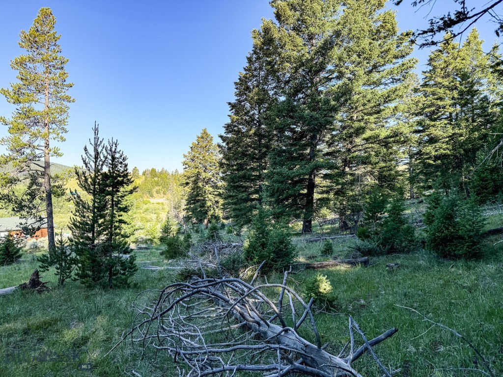 Nhn (1.78+/- Acres) Sunchild Lane Property Photo 24