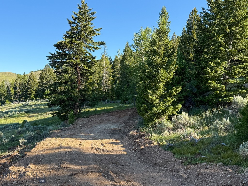 Nhn (1.78+/- Acres) Sunchild Lane Property Photo 26