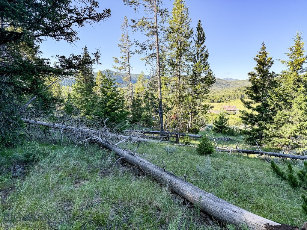 Nhn (1.78+/- Acres) Sunchild Lane Property Photo 28