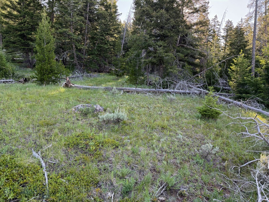 Nhn (1.78+/- Acres) Sunchild Lane Property Photo 29