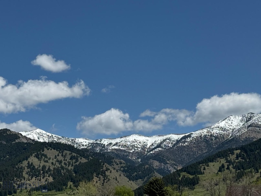 4807 Jordan Spur Road Property Photo 15