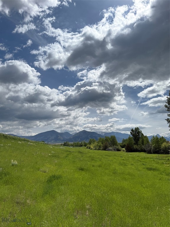 1535 Reynolds Creek Road Property Photo 53
