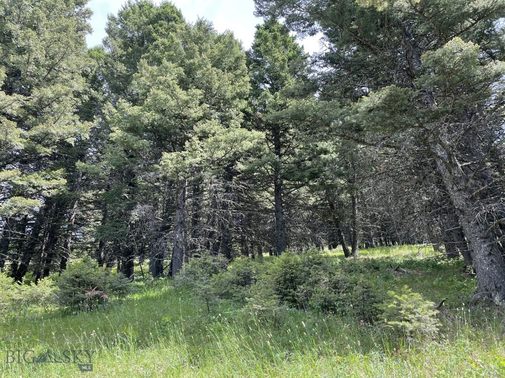 18 Blue Camas Road Property Photo 16