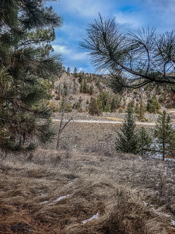 Tbd Bear Gulch Rd Property Photo 1