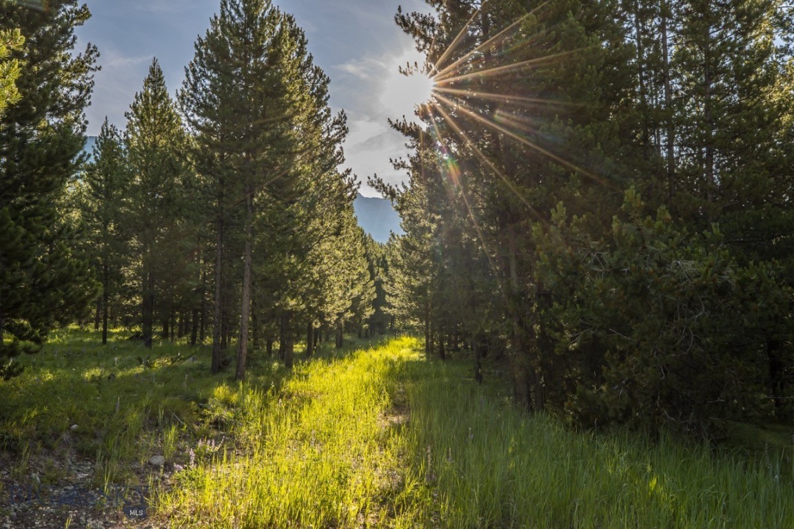 Tbd Jack Creek Road, Moonlight Territory Parcel 2 Property Photo 10