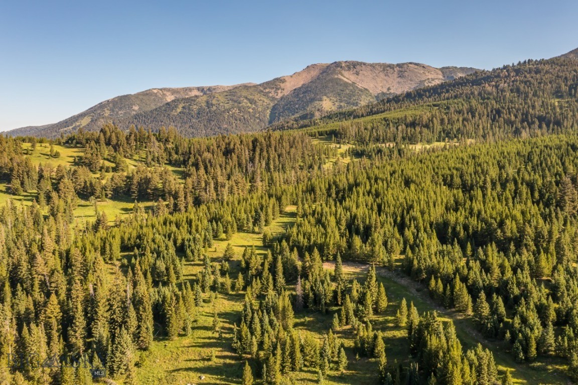 Tbd Jack Creek Road, Moonlight Territory Parcel 2 Property Photo 26
